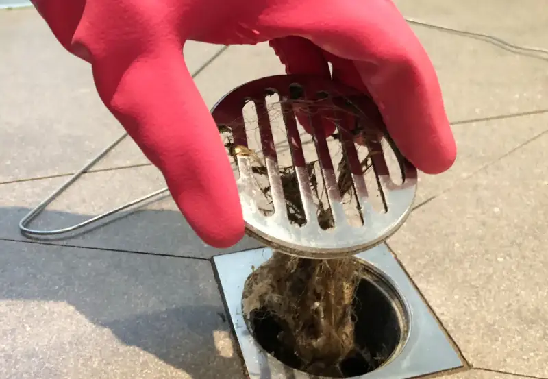 Surrey, Coquitlam, Langley, Metro Vancouver & Surrounding area