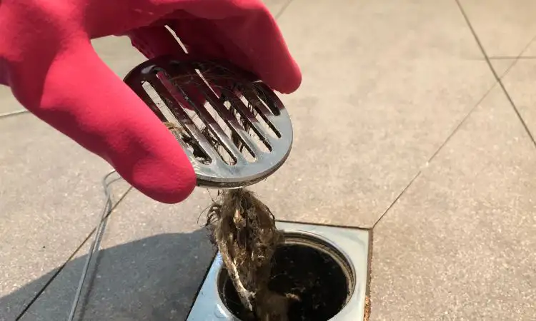 Unclog Floor Drain in Vancouver, Surrey, Coquitlam, Langley