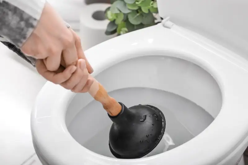 Unclog a Toilet