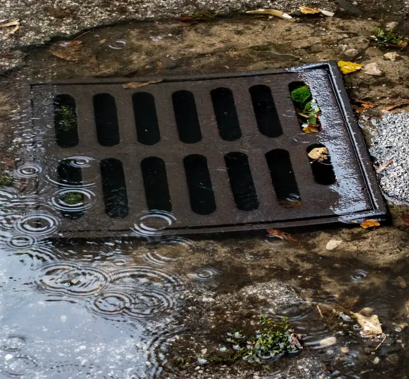 Surrey, Coquitlam, Langley, Metro Vancouver & Surrounding area. Strata Drain Cleaning